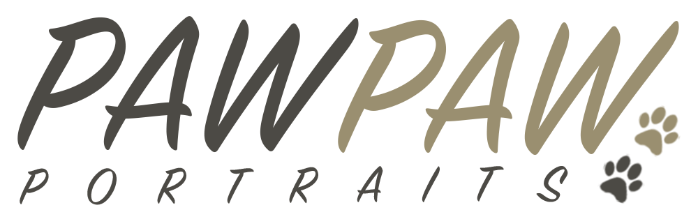 Paw Paw Portraits logo